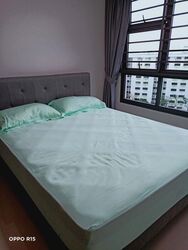 Blk 445B Clementi Crest (Clementi), HDB 4 Rooms #489049881